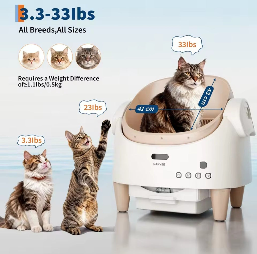 Cat scale with cats around it, showing weight measurement details.