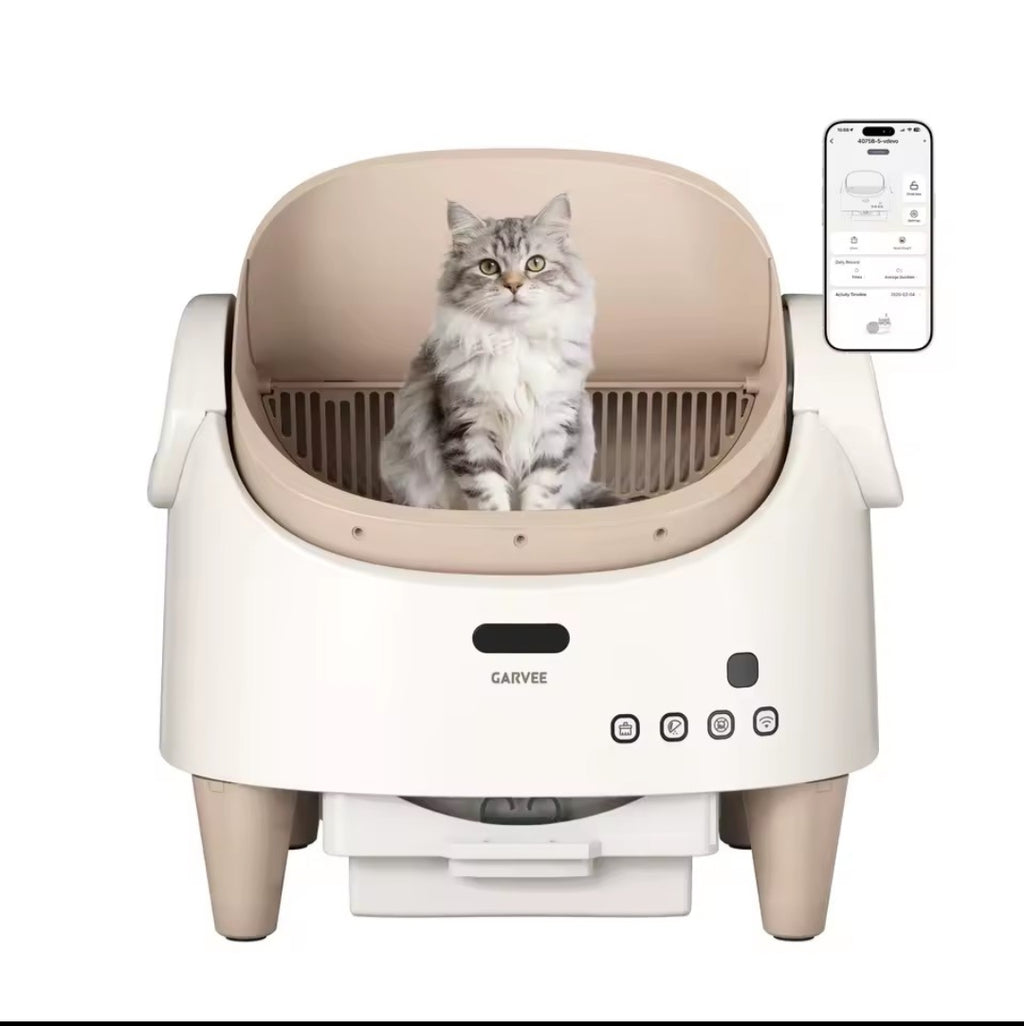 Cat litter box with a cat inside on a white background