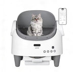 Cat sitting inside a modern pet washing machine with a smartphone app on a white background